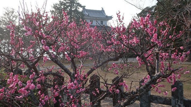 2021_02_07_平戸_089.JPG