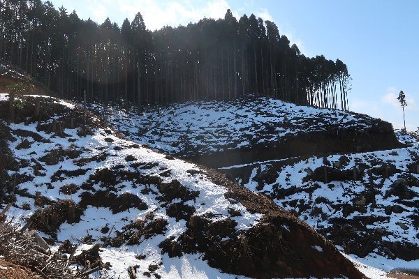 2021_02_20_戸谷ヶ岳_010.JPG