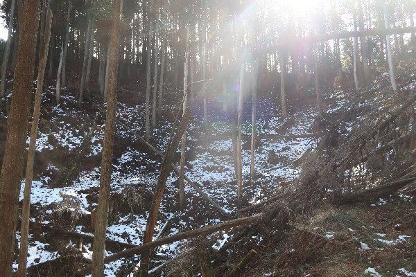 2021_02_20_戸谷ヶ岳_041.JPG
