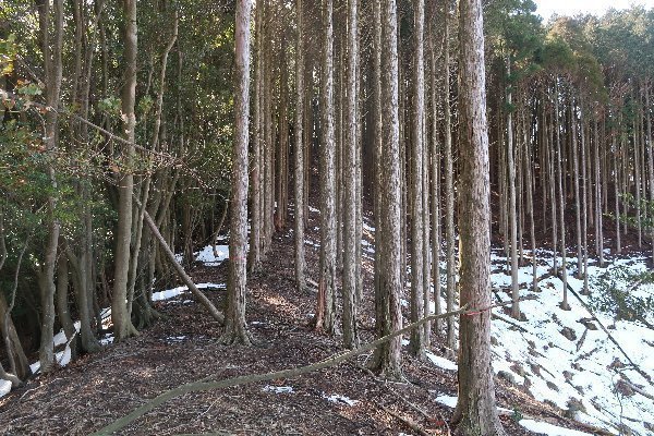 2021_02_20_戸谷ヶ岳_030.JPG