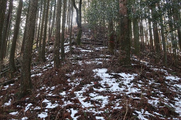 2021_02_20_戸谷ヶ岳_032.JPG