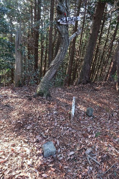 2021_02_20_戸谷ヶ岳_076.JPG