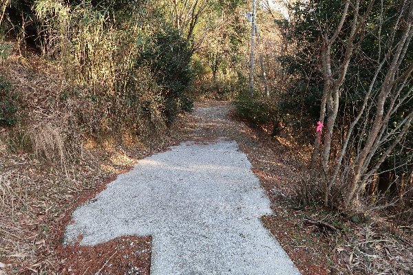 2021_02_20_戸谷ヶ岳_102.JPG
