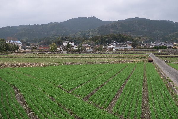 2021_03_06_金国山_004.JPG