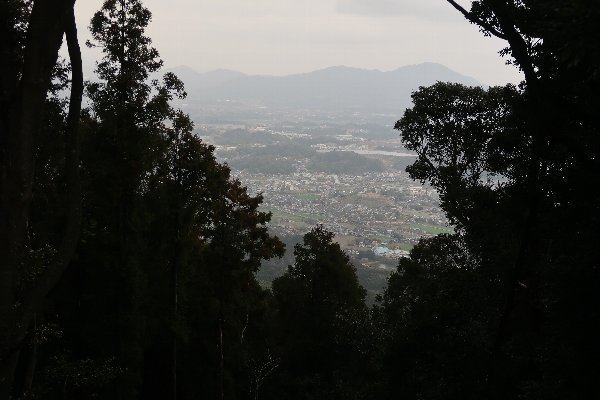 2021_03_06_金国山_024.JPG
