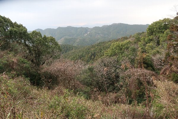 2021_03_06_金国山_046.JPG