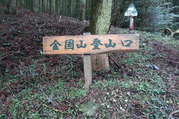 2021_03_06_金国山_045.JPG