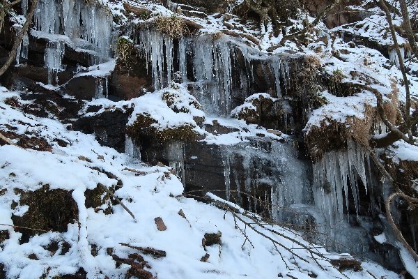 2021_01_31_英彦山_069.JPG