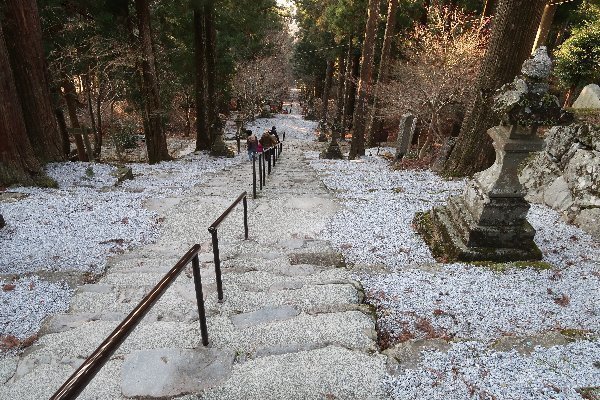 2021_01_31_英彦山_111.JPG